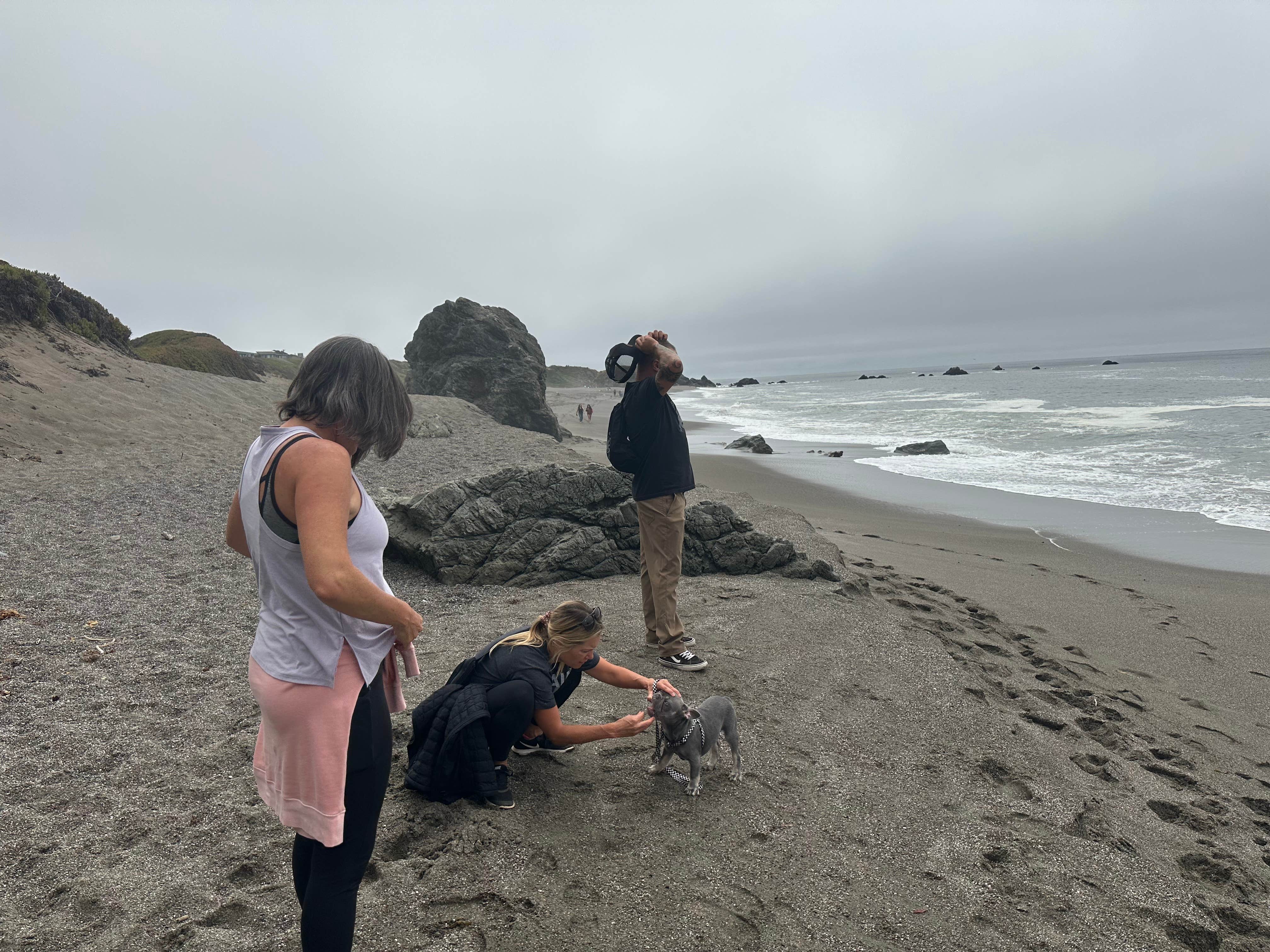 Travis C.'s photo of camping with pets at Wright's Beach Campground — Sonoma Coast State Park near Rio Nido, CA