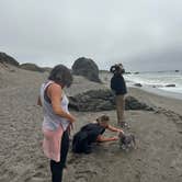 Review photo of Wright's Beach Campground — Sonoma Coast State Park by Travis C., August 14, 2023