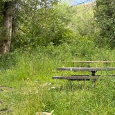 Review photo of Tincup Campground by Zach P., August 14, 2023