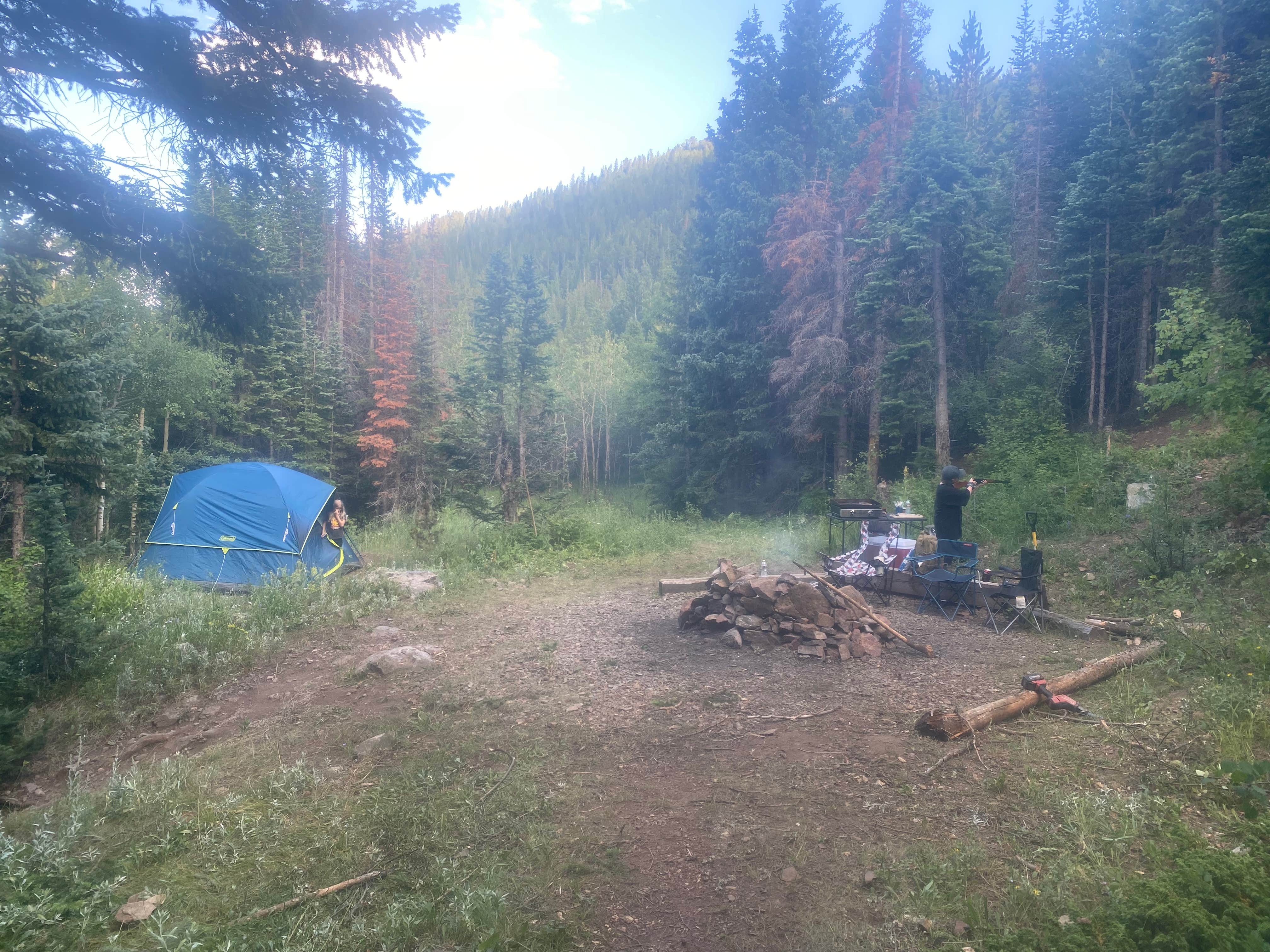 Camper submitted image from Ruby Gulch, Forest Road 328 - 4