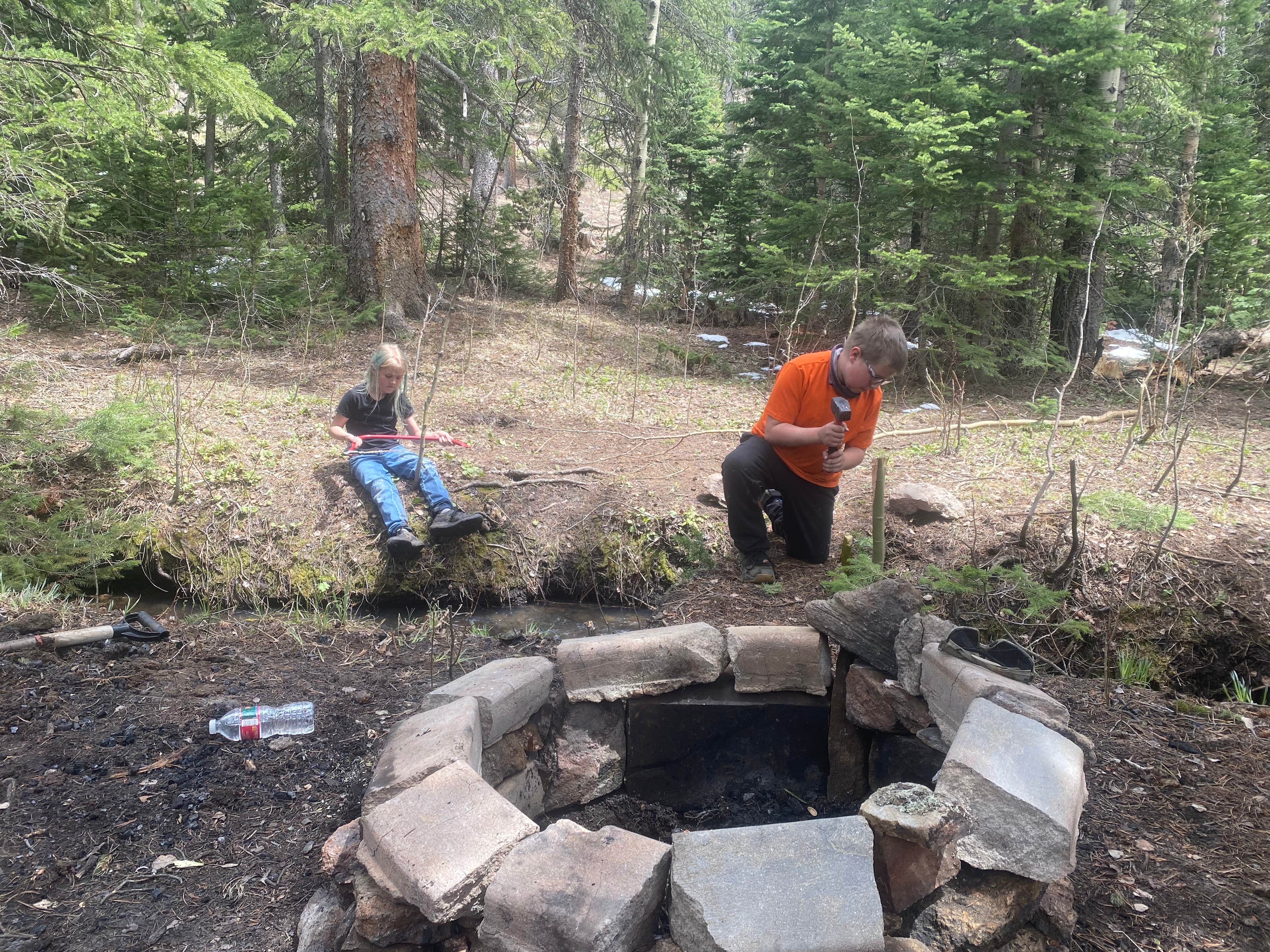 Camper submitted image from Ruby Gulch, Forest Road 328 - 2