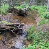 Review photo of Ruby Gulch, Forest Road 328 by shawn L., August 14, 2023