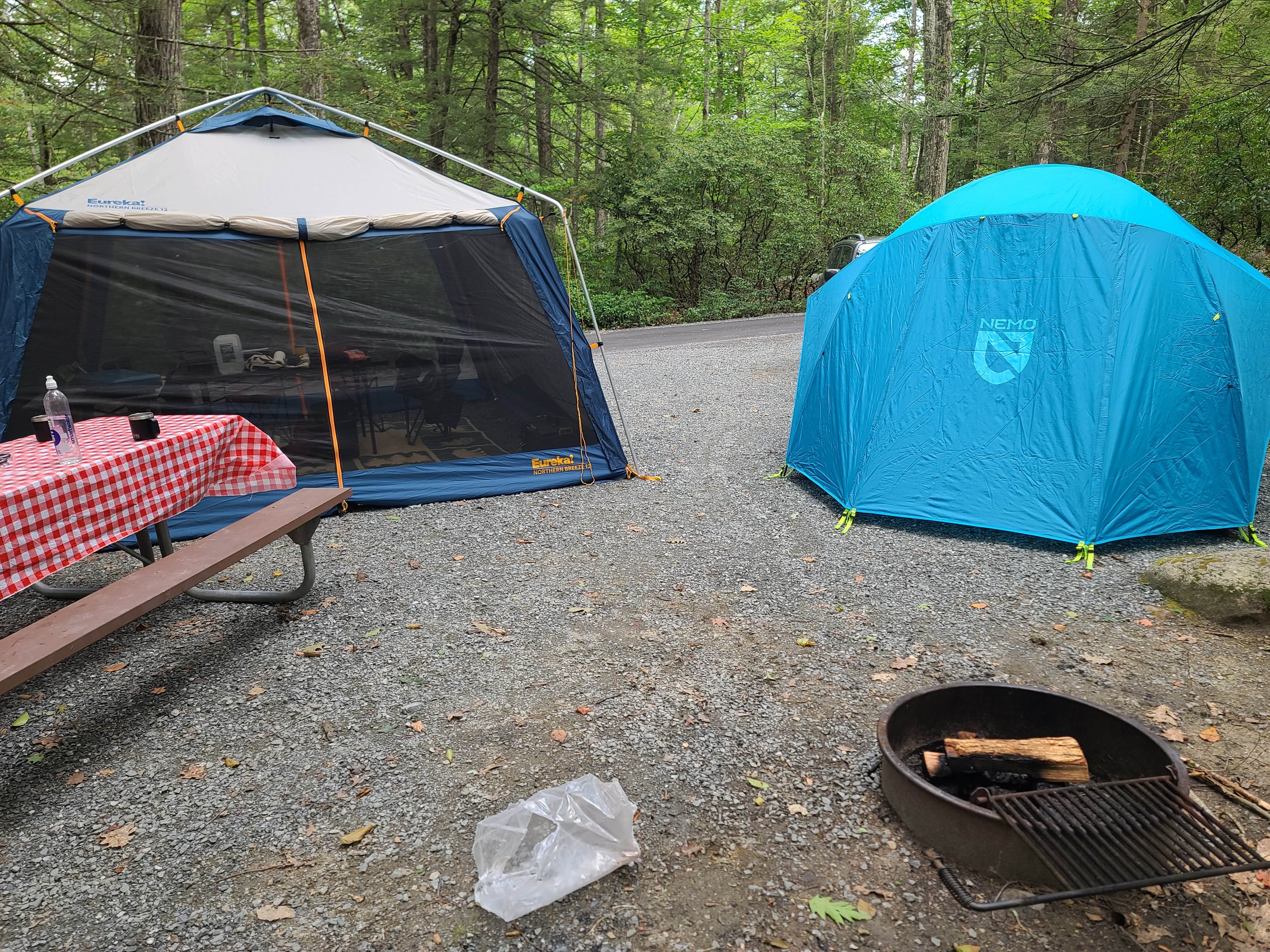 Camper-submitted photo at Erving State Forest Campground near Petersham, MA