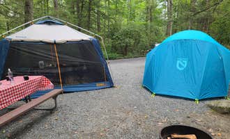 Camping near Lake Dennison Recreation Area: Erving State Forest, Erving, Massachusetts