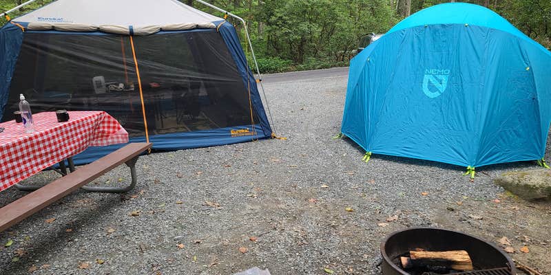 Camper submitted image from Erving State Forest Campground