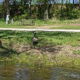 Review photo of Last Resort Campground by Russell S., August 14, 2023