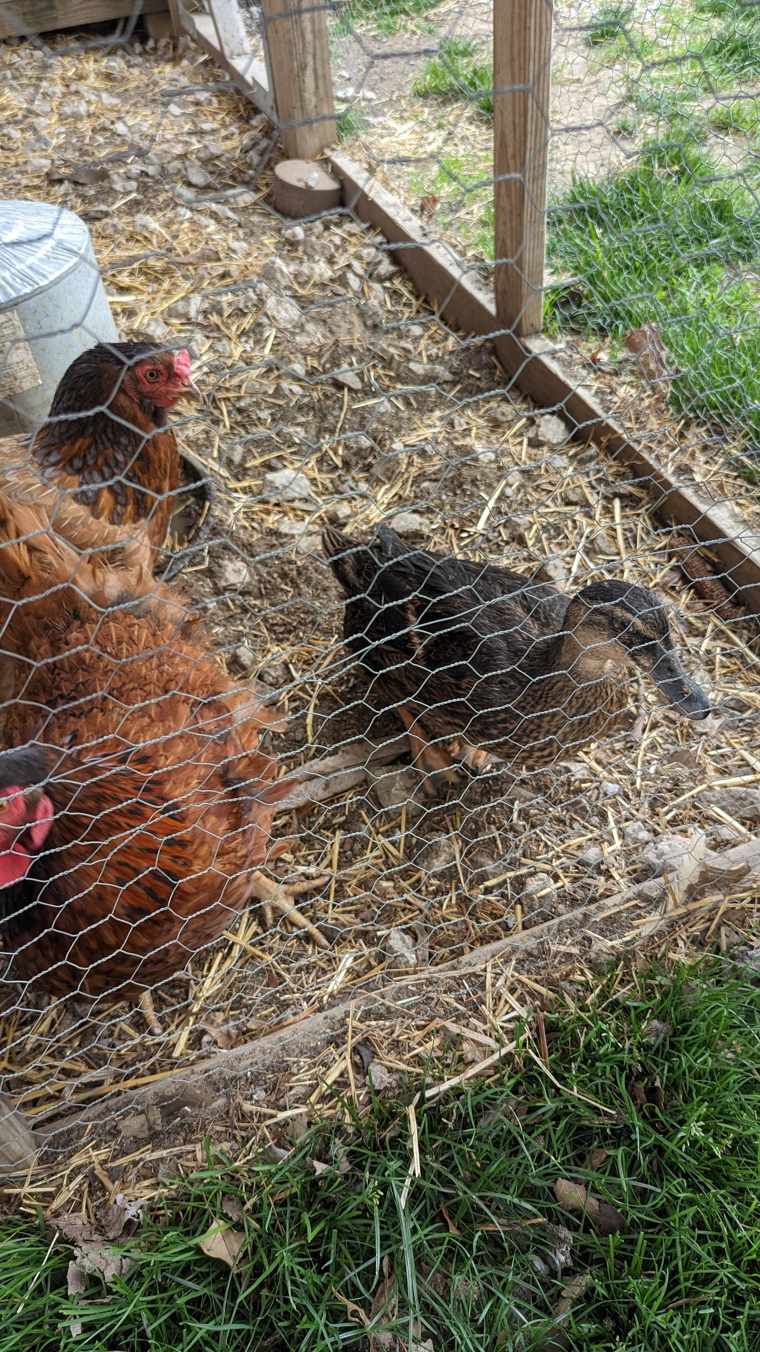 Camper-submitted photo at Last Resort Campground near Indiana Dunes National Lakeshore