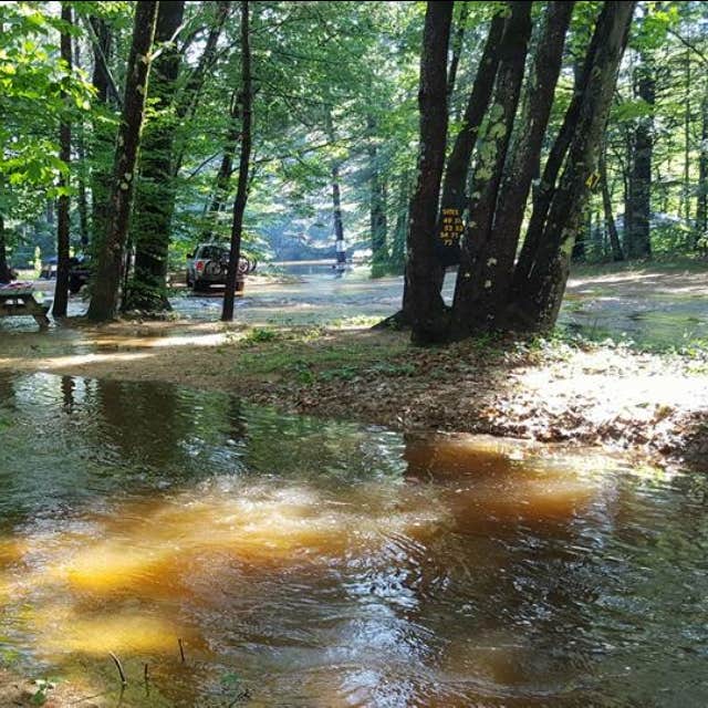 Bearcamp River Campground Camping The Dyrt