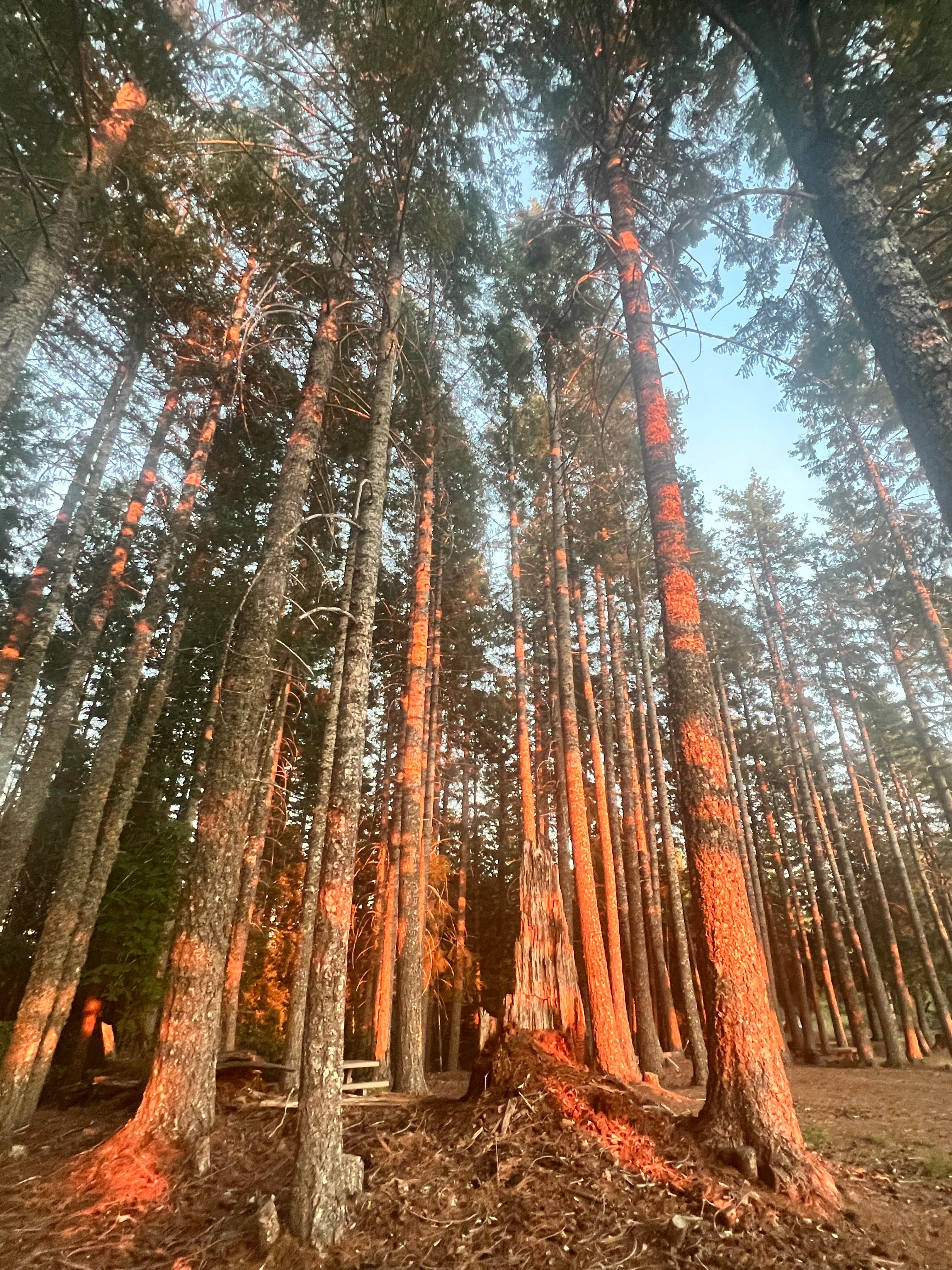 Camper submitted image from Lacks Creek BLM - 2