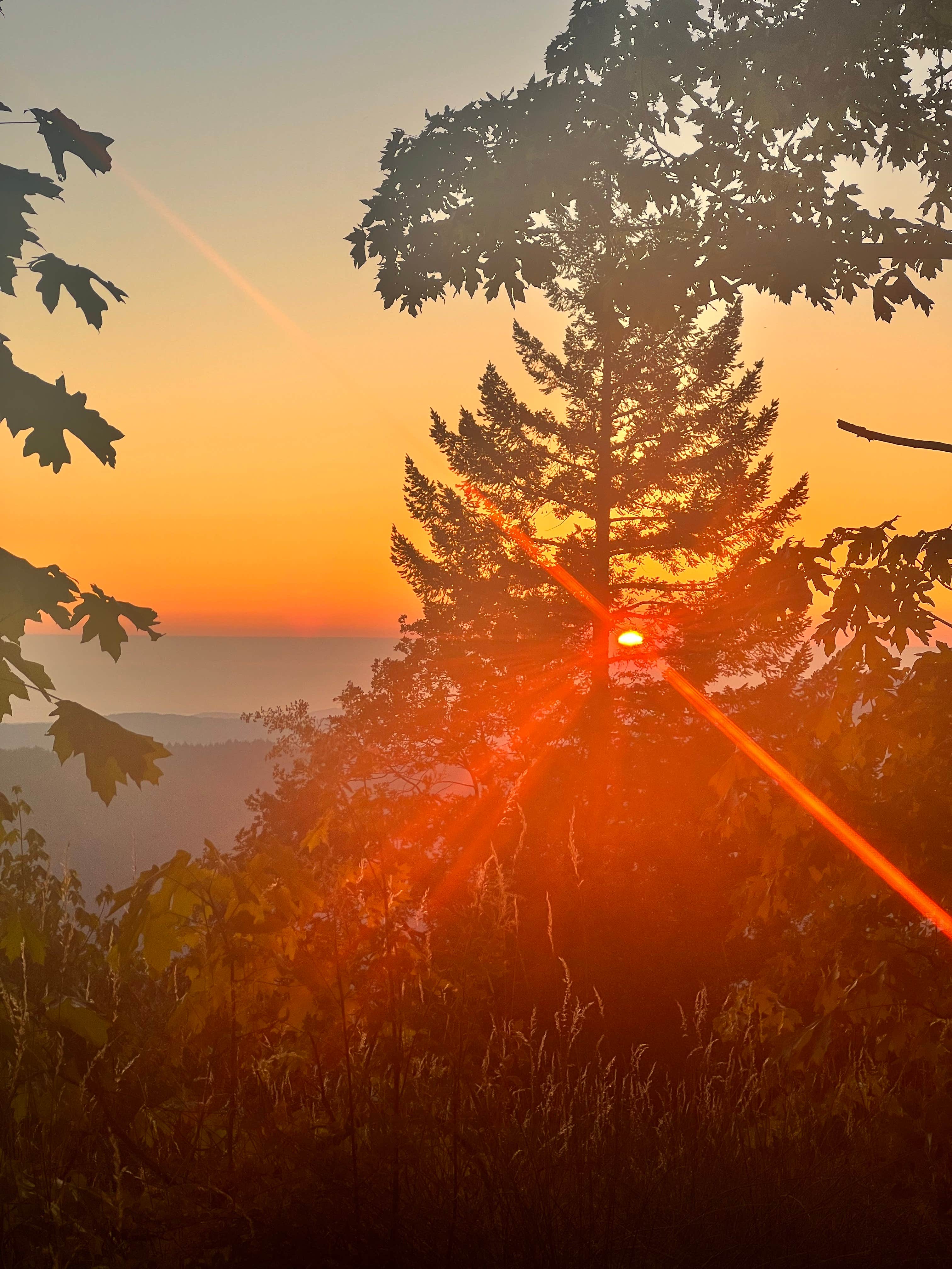 Julie's photo of a dispersed camping area at Lacks Creek BLM near Essex, CA