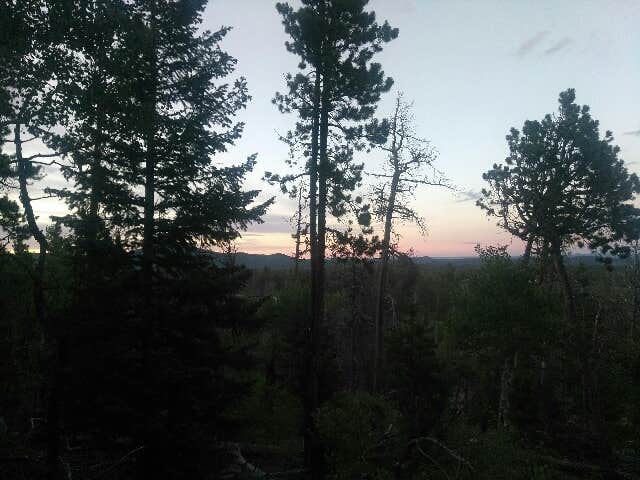 shawn L.'s photo of a dispersed camping area at Deadman Road Dispersed near Jelm, WY