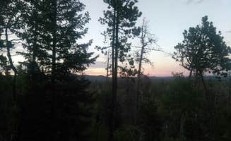 shawn L.'s photo of a dispersed camping area at Deadman Road Dispersed near Laporte, CO