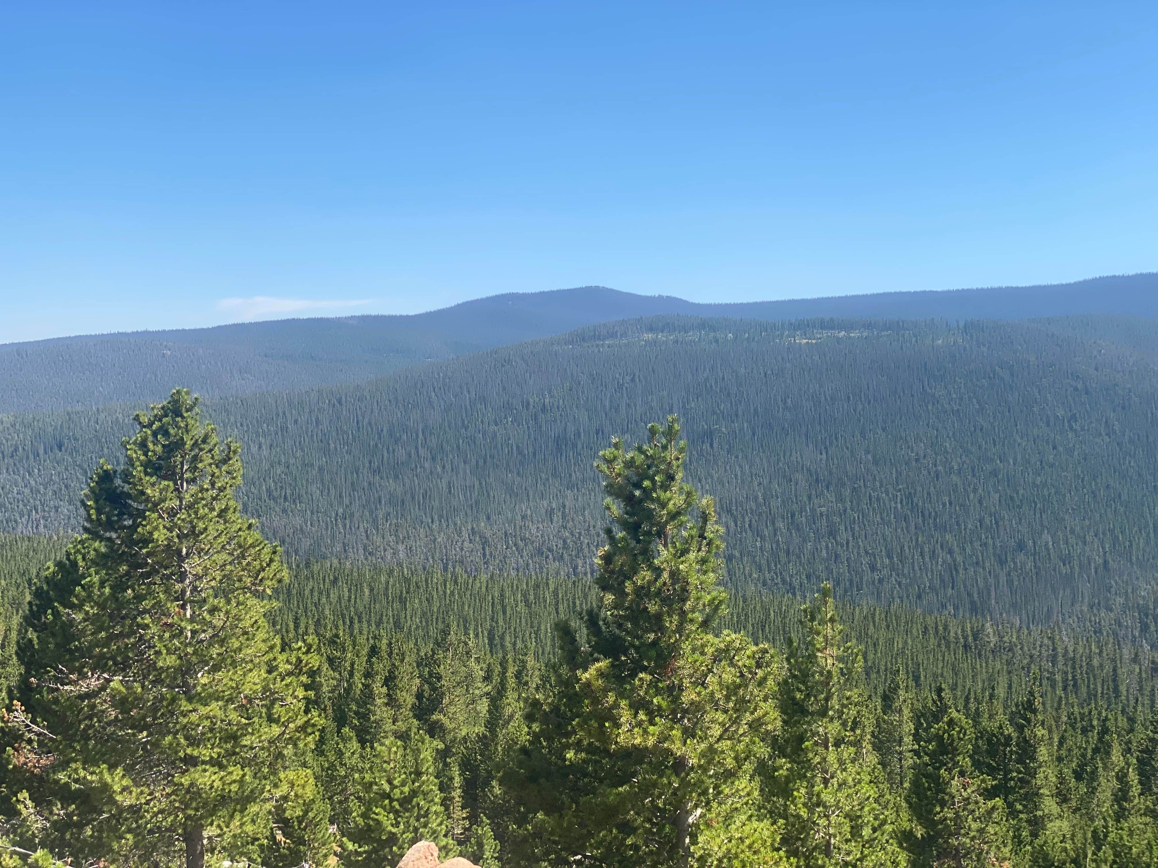 Camper-submitted photo at Deadman Road Dispersed near Red Feather Lakes, CO