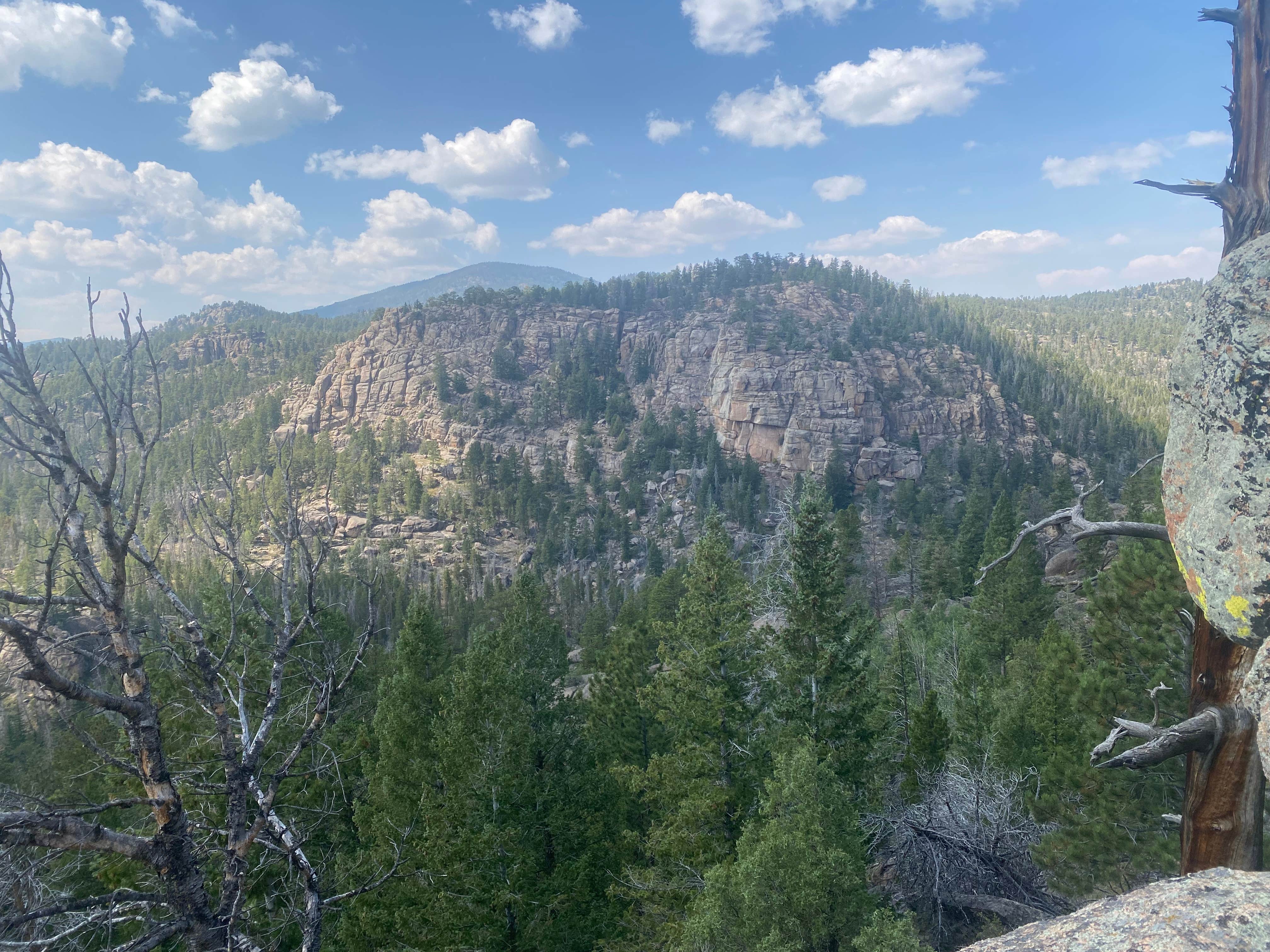 Camper-submitted photo at Deadman Road Dispersed near Red Feather Lakes, CO