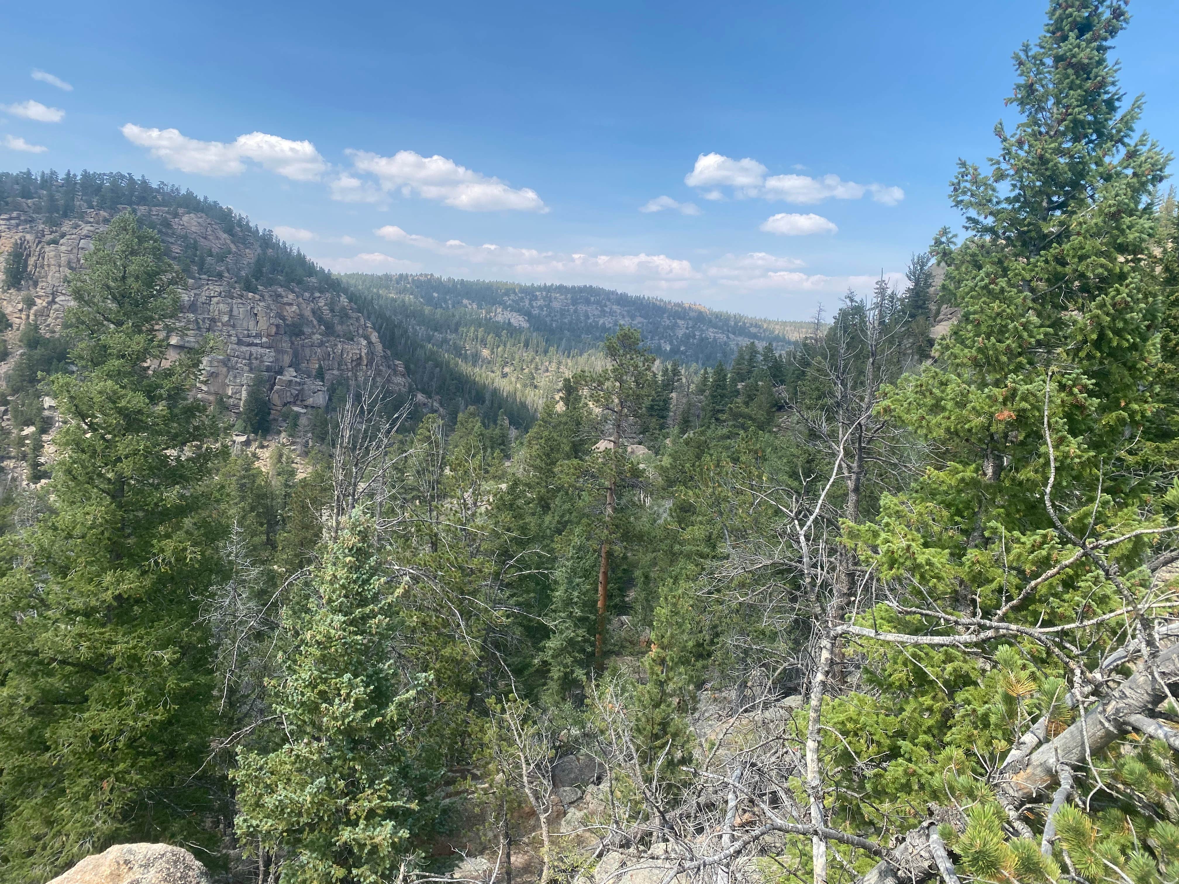 Camper-submitted photo at Deadman Road Dispersed near Red Feather Lakes, CO