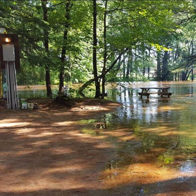 Bearcamp River Campground Camping The Dyrt