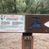 Review photo of Bonita Canyon Campground — Chiricahua National Monument by Pedro G., August 14, 2023