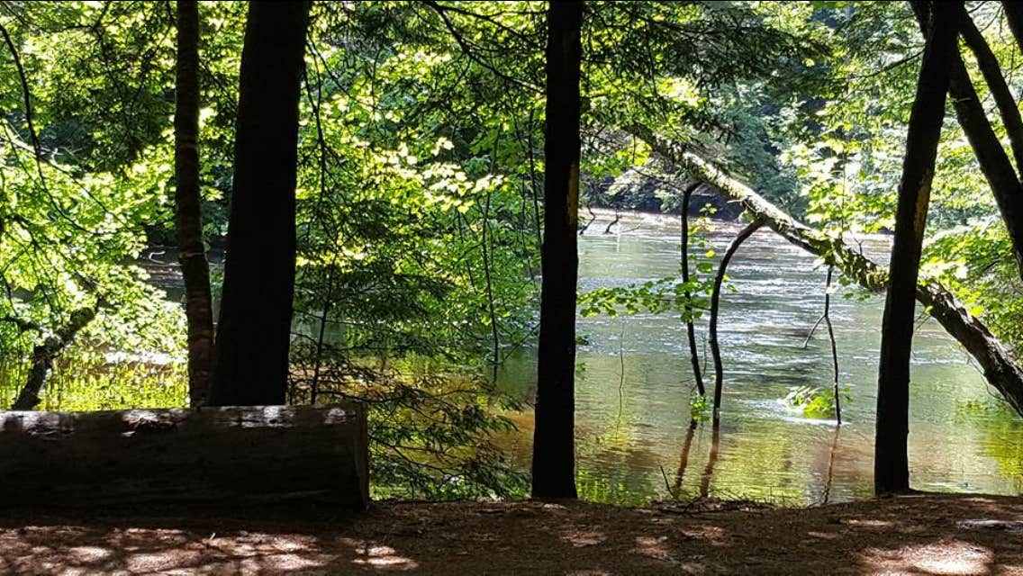 Camper-submitted photo at Bearcamp River Campground near Center Ossipee, NH