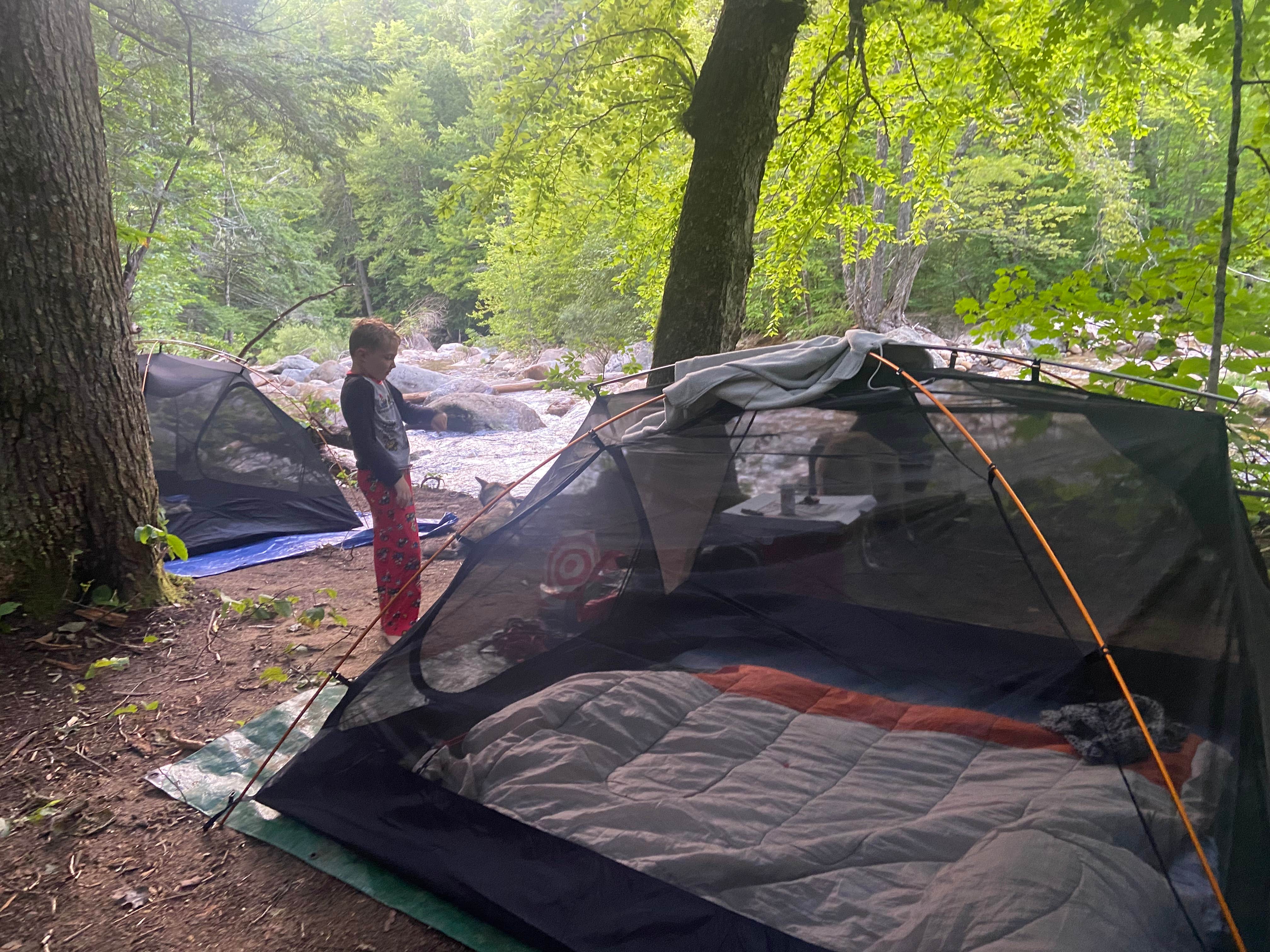 Alex S.'s photo of a dispersed camping area at Town Hall Road Dispersed near Wolfeboro, NH