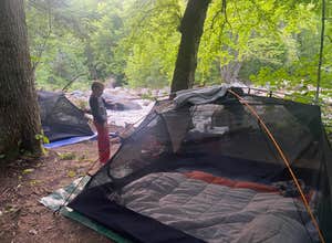 Town Hall Road Dispersed