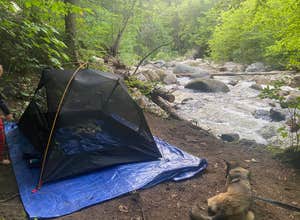 Town Hall Road Dispersed