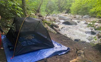 Alex S.'s photo of camping with pets at Town Hall Road Dispersed near Conway, NH
