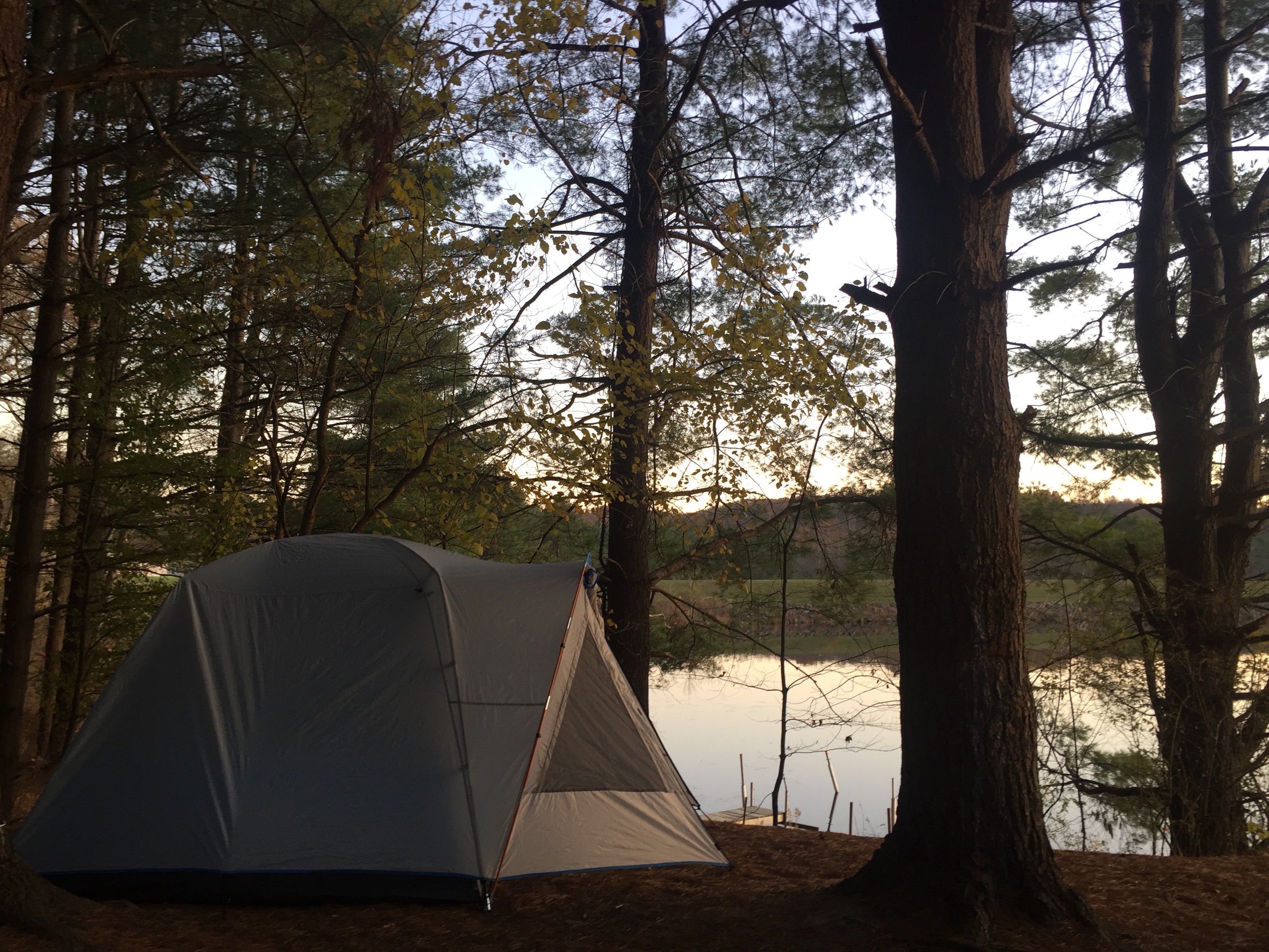Camper submitted image from Campbell Cove Camping - 1