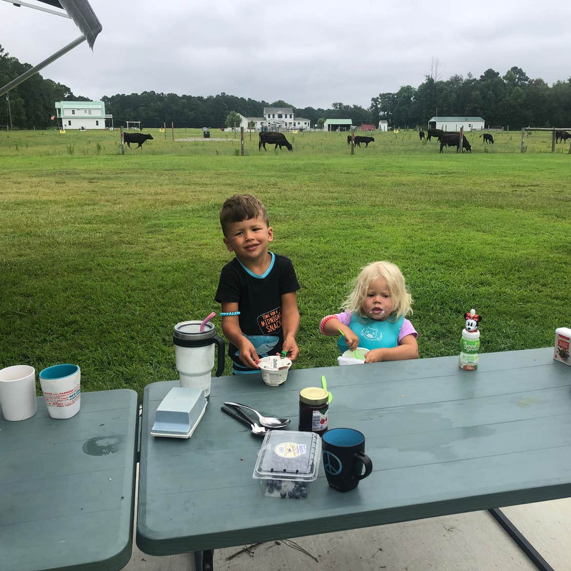 Campsite at Wallace Meadows Farm / RV site at Wallace Meadows Farm