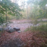 Review photo of Maple Haven Campground by Kelley H., October 27, 2018