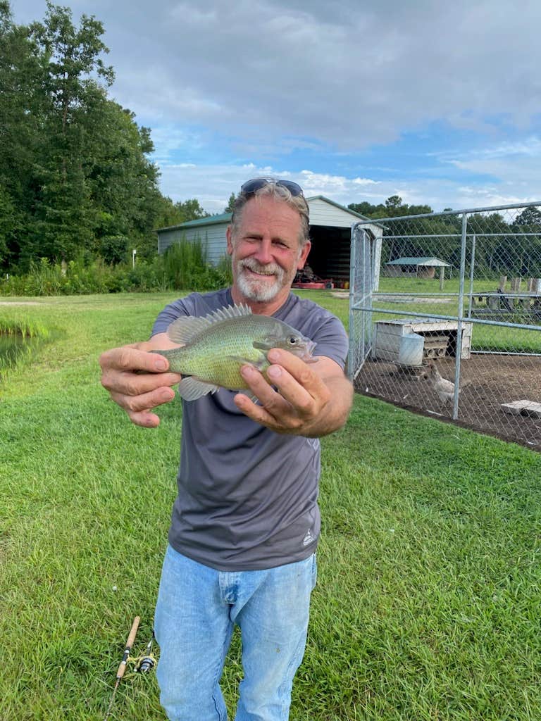 Campsite at Wallace Meadows Farm / RV site at Wallace Meadows Farm Pollocksville, NC