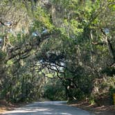 Review photo of Atlantic Beach Campground — Fort Clinch State Park by Stuart K., August 14, 2023