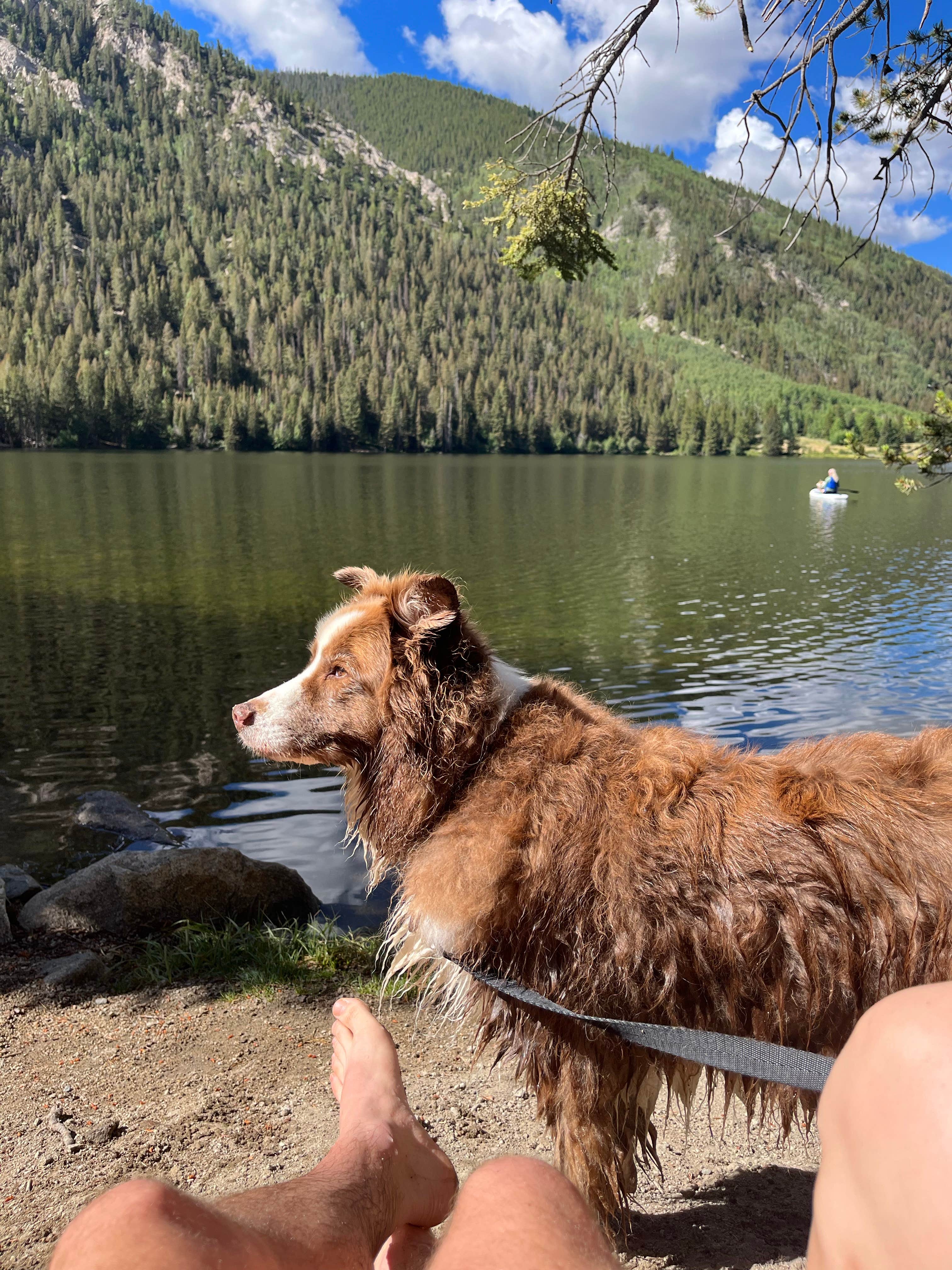 michael's photo of a dispersed camping area at South Cottonwood Lake near Pitkin, CO