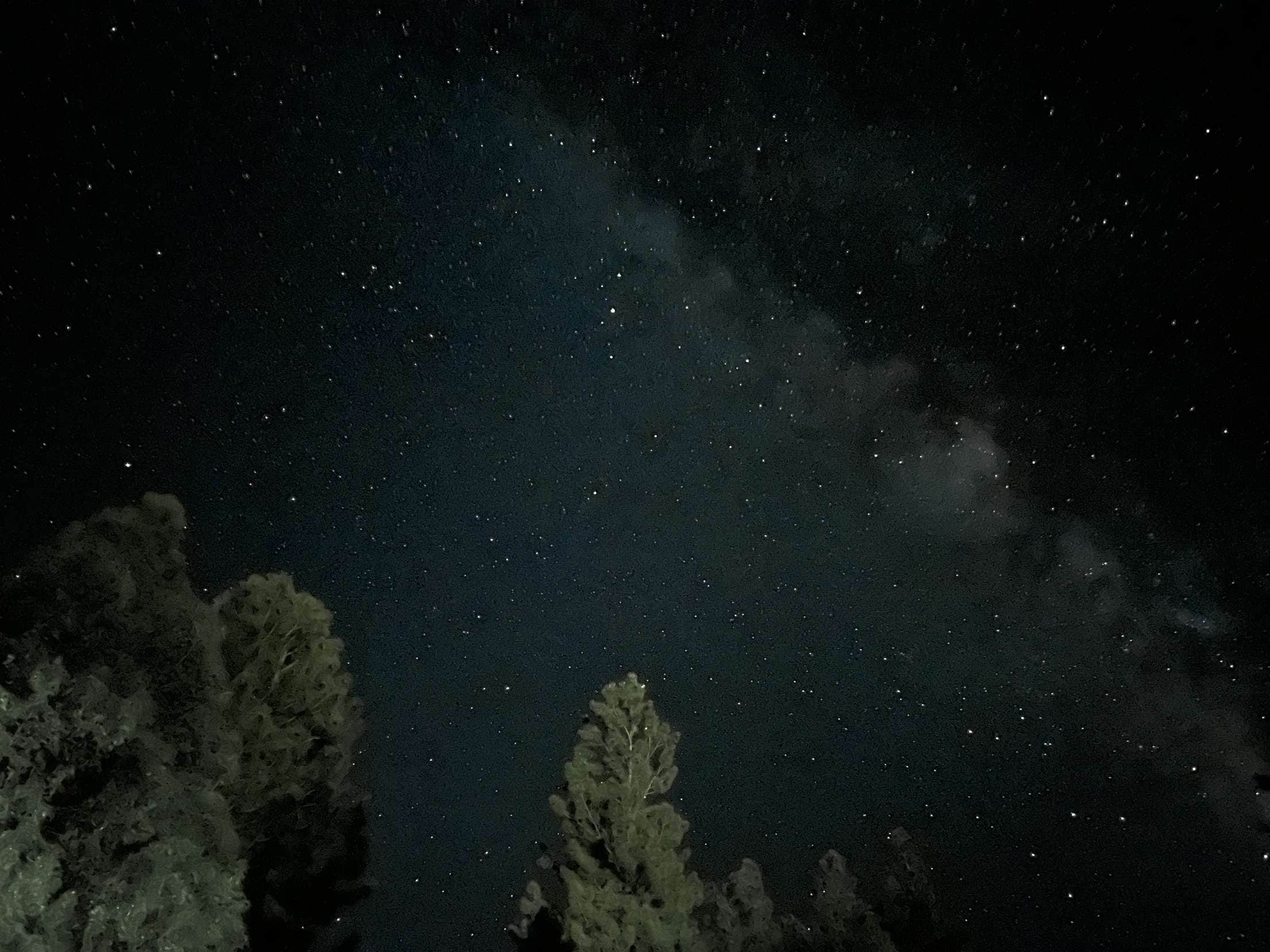 Camper-submitted photo at SE Flat Tops Area near Parachute, CO