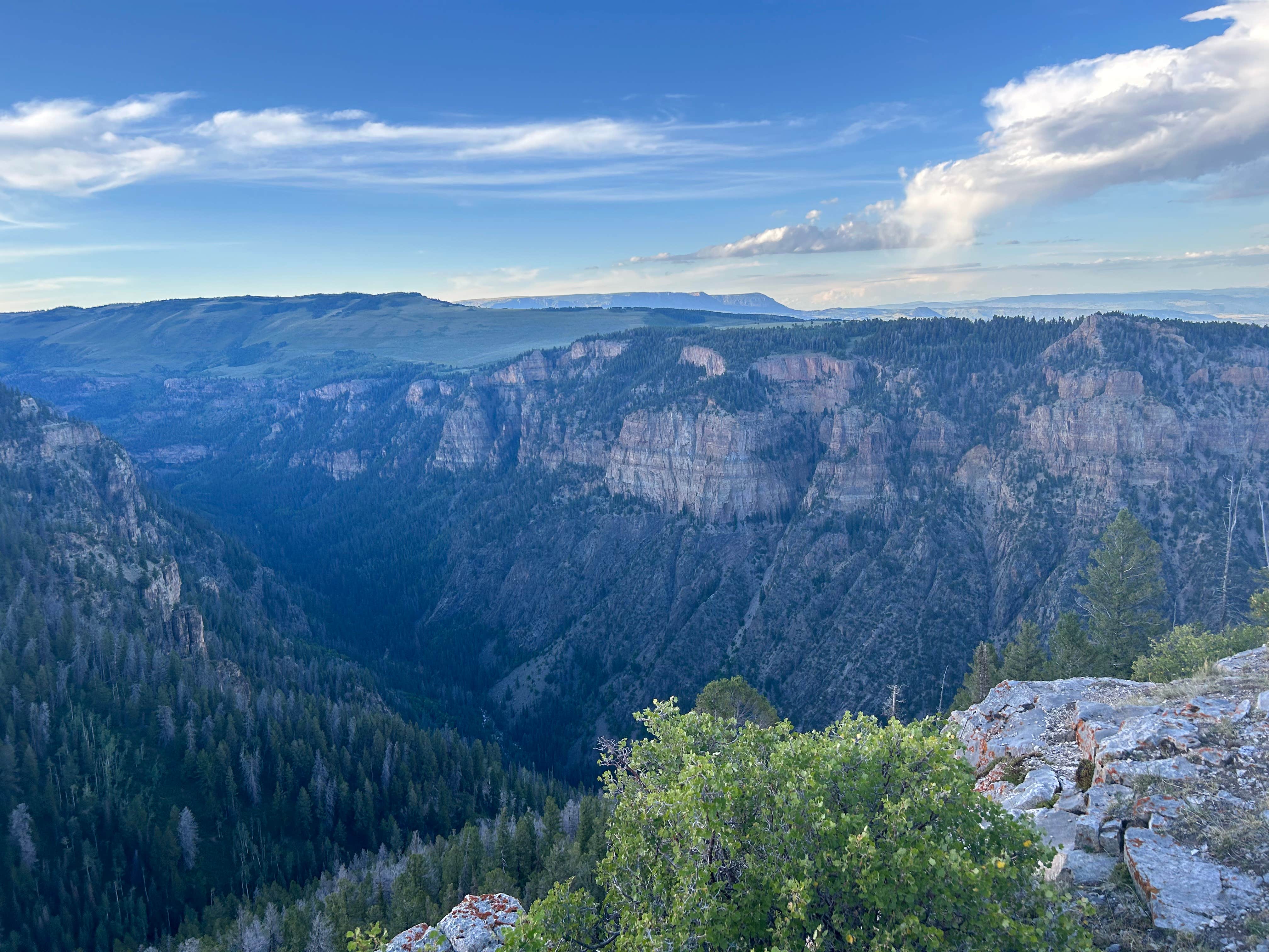 Camper-submitted photo at SE Flat Tops Area near Parachute, CO