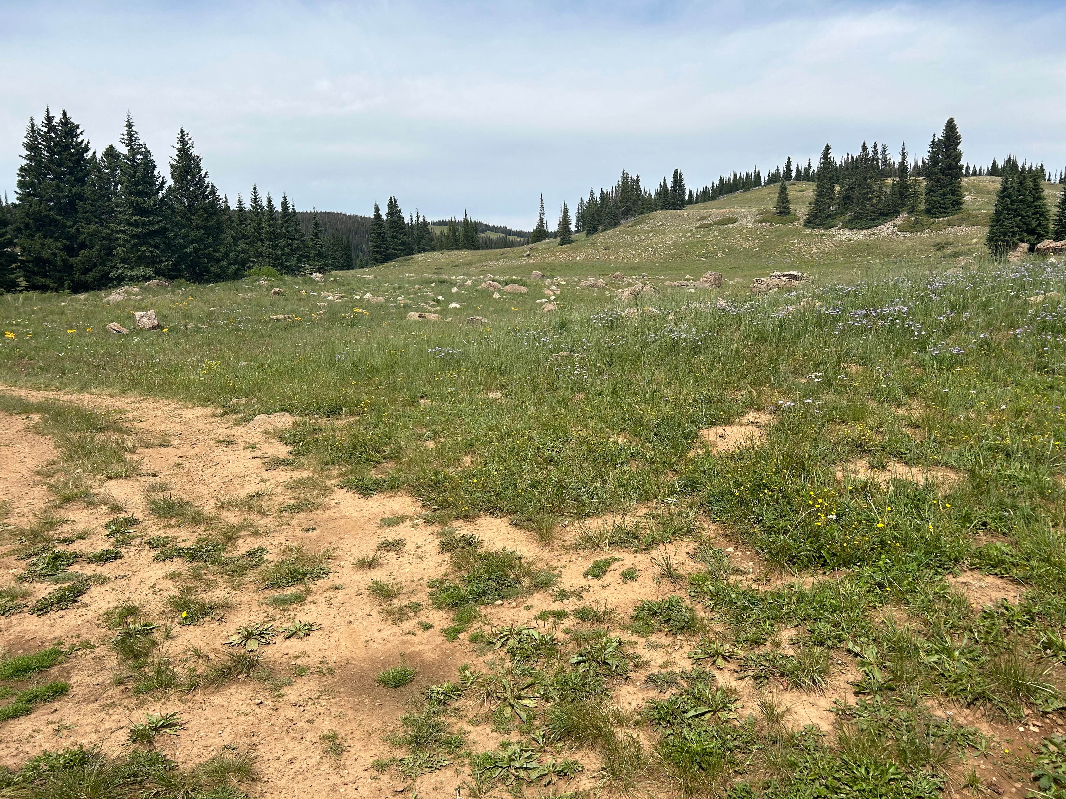 Camper-submitted photo at SE Flat Tops Area near Parachute, CO