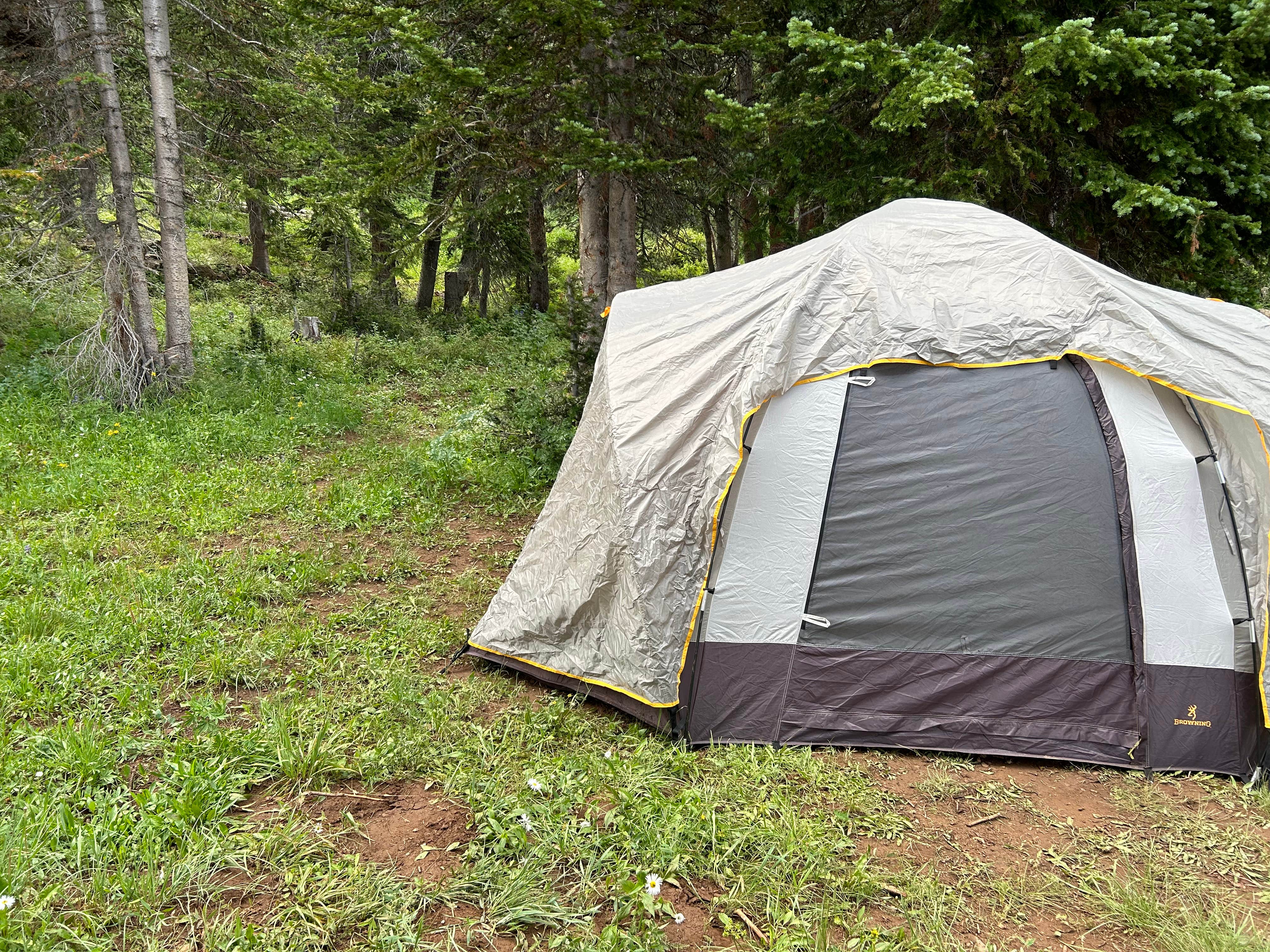 Camping near Glenwood Canyon Resort: SE Flat Tops Area, Glenwood Springs, Colorado
