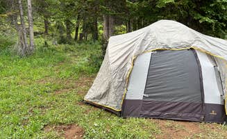 Hailey M.'s photo of tent camping at SE Flat Tops Area near Yampa, CO