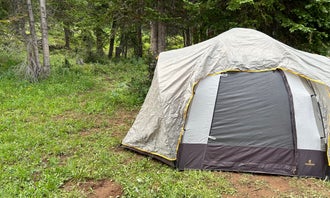 Camping near Deep Creek Campground: SE Flat Tops Area, Glenwood Springs, Colorado