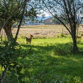 Review photo of Deer Park RV Park and Campground by Daniel W., August 14, 2023