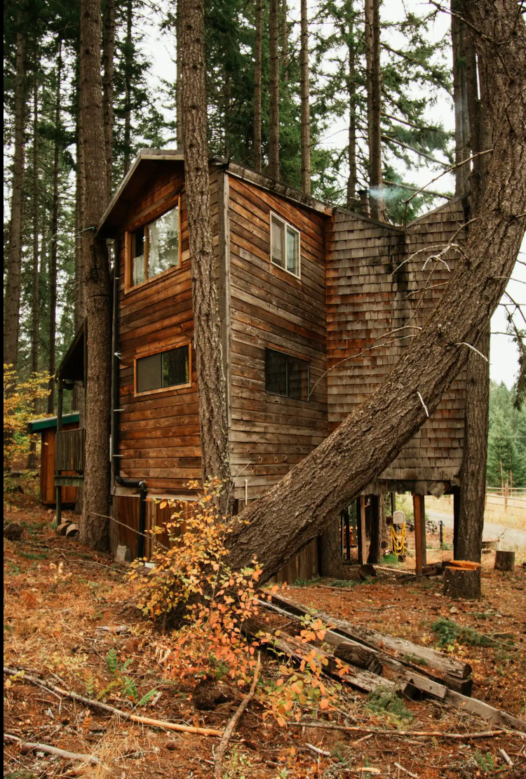 Camper-submitted photo at Tree House Tranquil A Tree - Romantic Escape near Wishram, WA