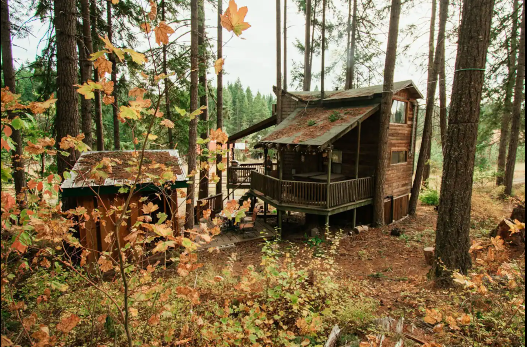 Camper submitted image from Tree House Tranquil A Tree - Romantic Escape - 1