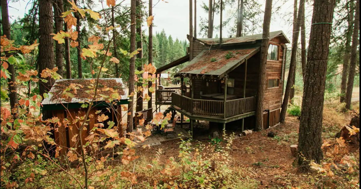 Tree House Tranquil A Tree - Romantic Escape Camping | White Salmon, Washington