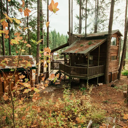Campground Finder: Tree House Tranquil A Tree - Romantic Escape