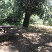 Review photo of Nira Campground by Amanda M., October 24, 2018