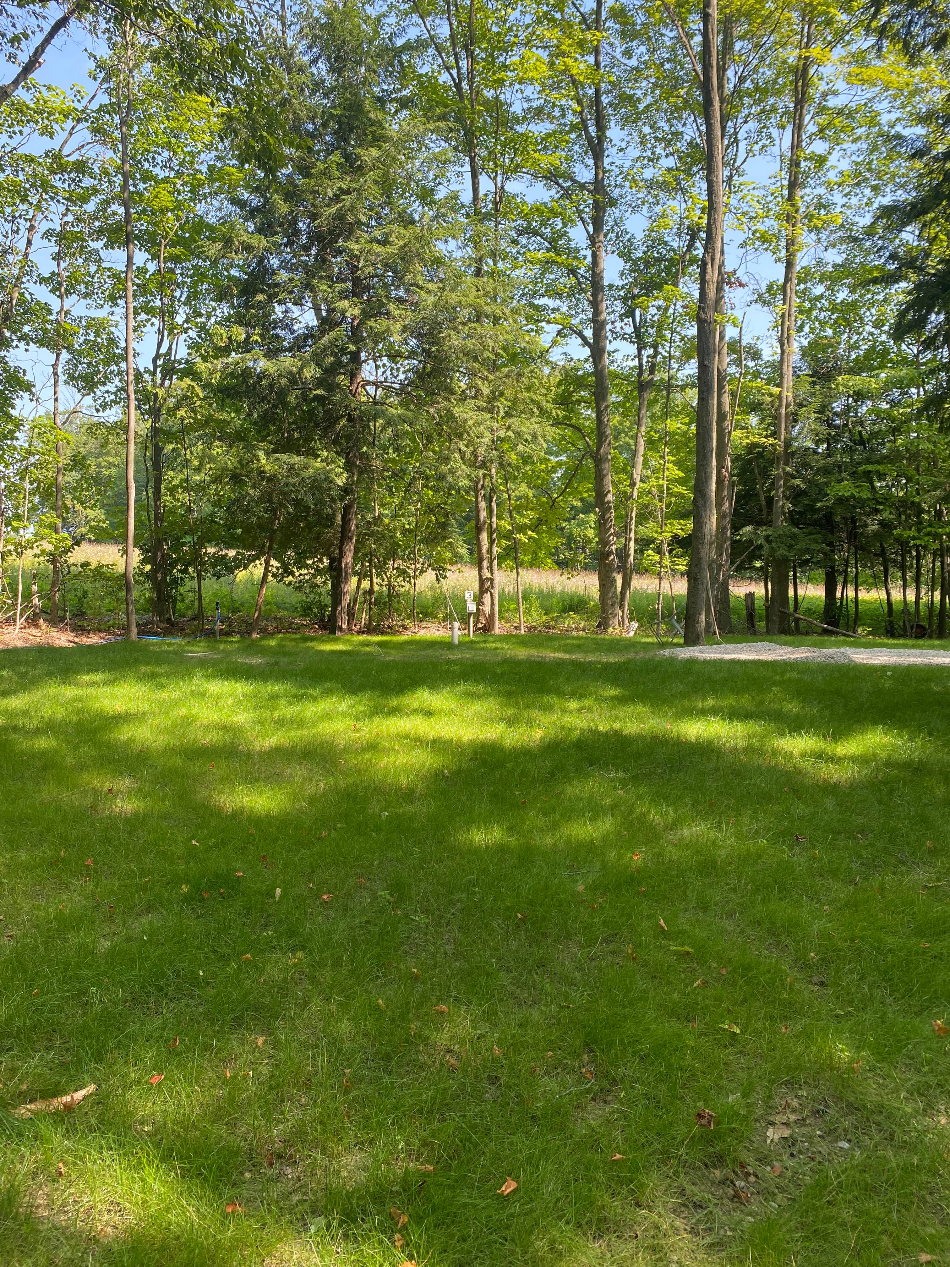Camping near Leelanau Pines Campground: Rocky’s Woods, Cedar, Michigan
