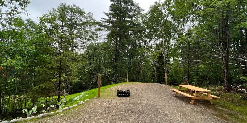 Camper submitted image from The Forest Poshtel