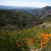 Review photo of Mt. Figueroa Campground by Amanda M., October 27, 2018