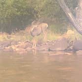 Review photo of Laramie River Road Dispersed by shawn L., August 15, 2023