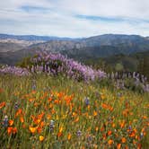 Review photo of Mt. Figueroa Campground by Amanda M., October 27, 2018