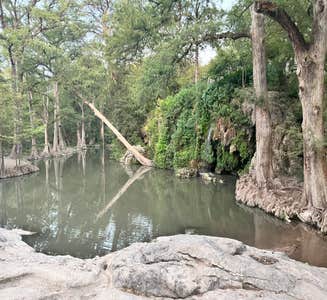 Camper-submitted photo from North Area Primitive Site — Colorado Bend State Park